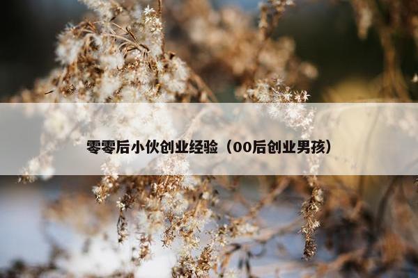 零零后小伙创业经验（00后创业男孩）