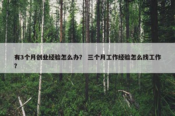 有3个月创业经验怎么办？ 三个月工作经验怎么找工作？