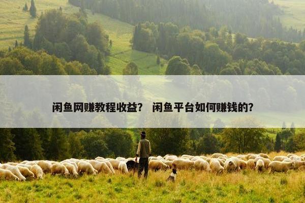 闲鱼网赚教程收益？ 闲鱼平台如何赚钱的？