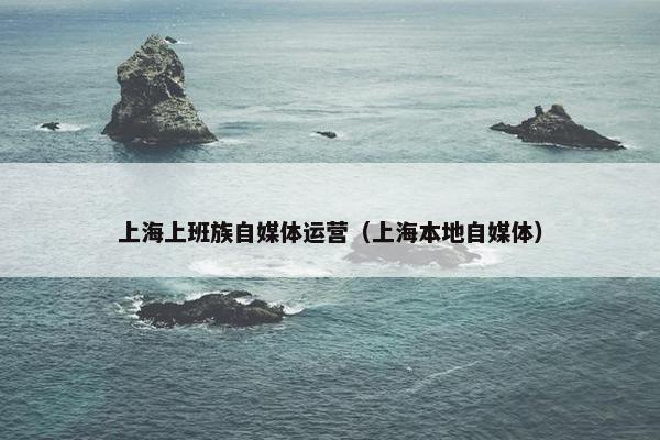上海上班族自媒体运营（上海本地自媒体）