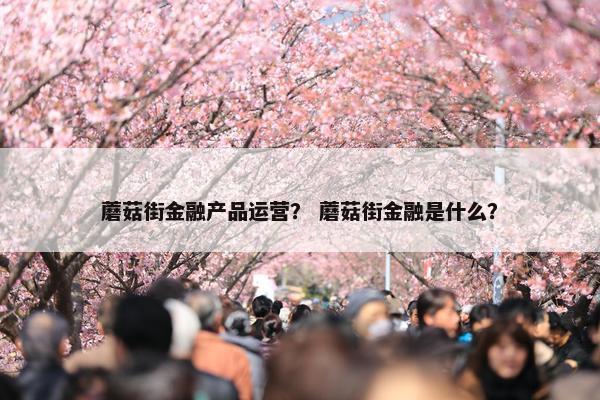 蘑菇街金融产品运营？ 蘑菇街金融是什么？