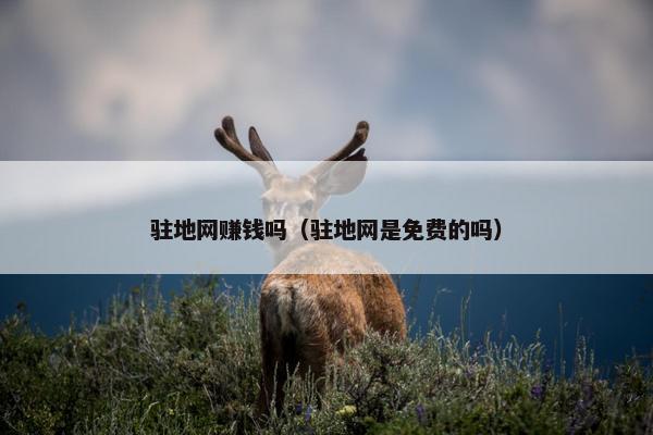 驻地网赚钱吗（驻地网是免费的吗）