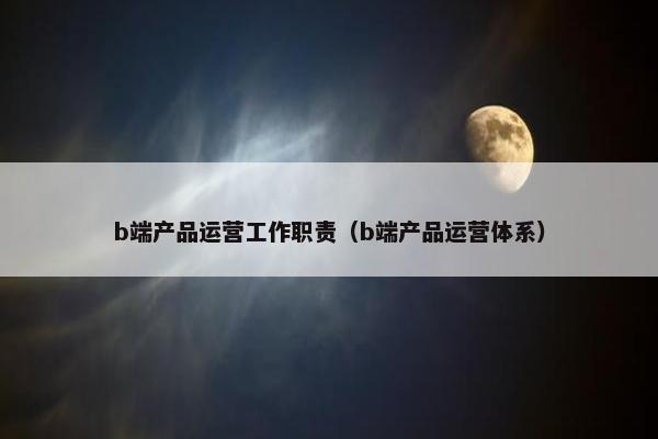 b端产品运营工作职责（b端产品运营体系）