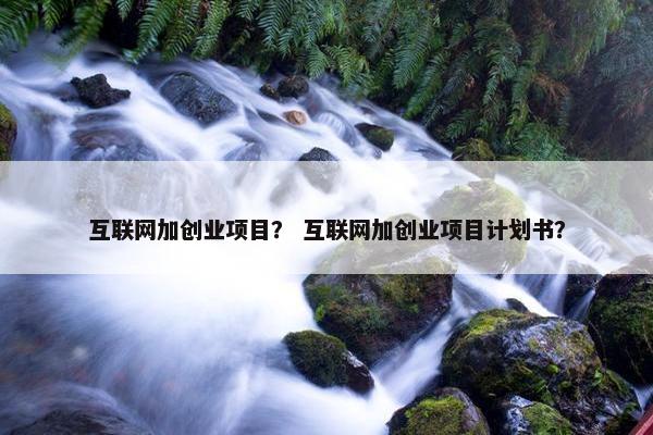 互联网加创业项目？ 互联网加创业项目计划书？