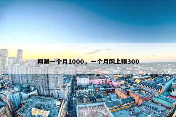 网赚一个月1000，一个月网上赚300