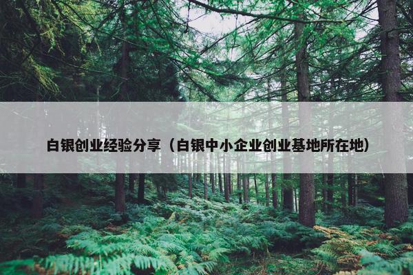 白银创业经验分享（白银中小企业创业基地所在地）