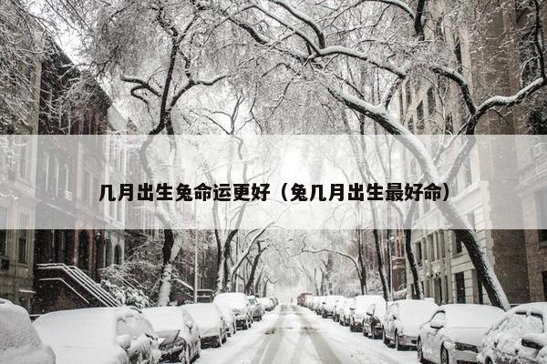 几月出生兔命运更好（兔几月出生最好命）