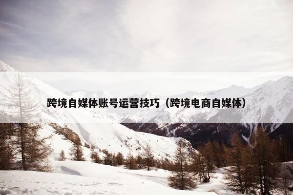 跨境自媒体账号运营技巧（跨境电商自媒体）