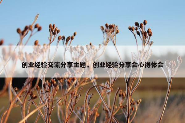 创业经验交流分享主题，创业经验分享会心得体会