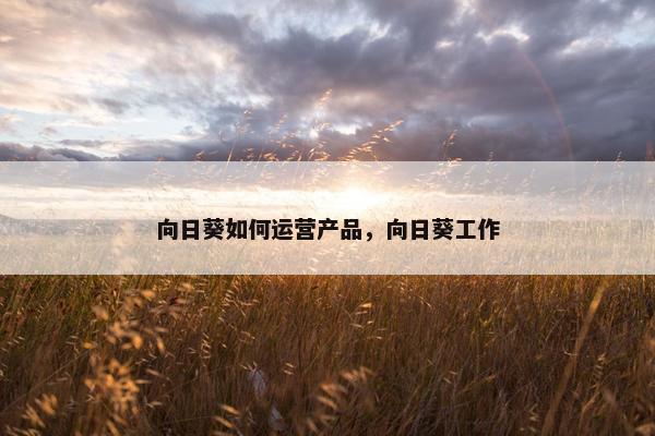 向日葵如何运营产品，向日葵工作