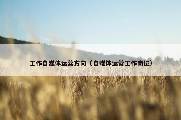 工作自媒体运营方向（自媒体运营工作岗位）