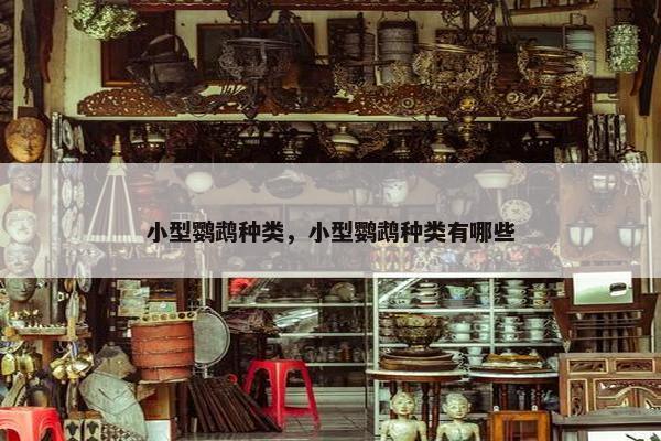 小型鹦鹉种类，小型鹦鹉种类有哪些