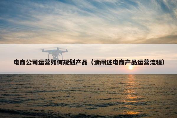 电商公司运营如何规划产品（请阐述电商产品运营流程）