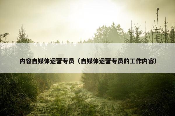 内容自媒体运营专员（自媒体运营专员的工作内容）