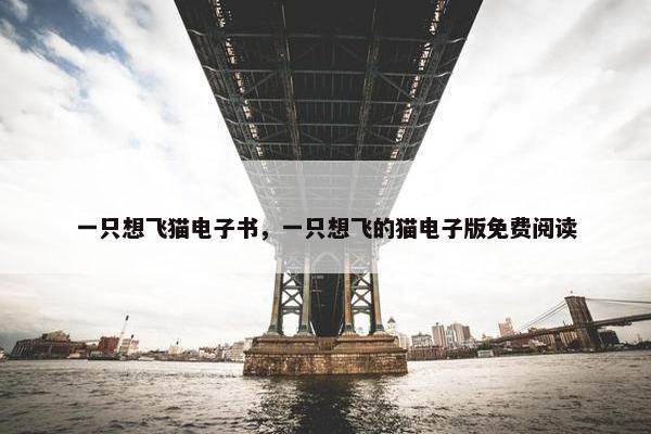 一只想飞猫电子书，一只想飞的猫电子版免费阅读