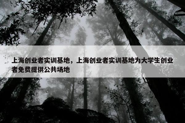 上海创业者实训基地，上海创业者实训基地为大学生创业者免费提供公共场地