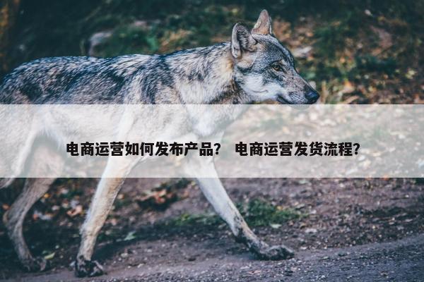 电商运营如何发布产品？ 电商运营发货流程？