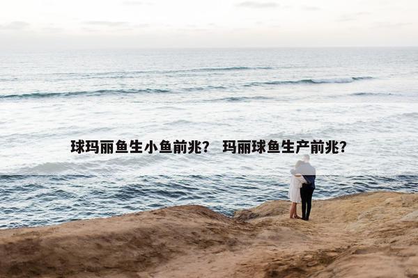 球玛丽鱼生小鱼前兆？ 玛丽球鱼生产前兆？