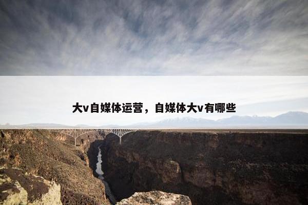 大v自媒体运营，自媒体大v有哪些