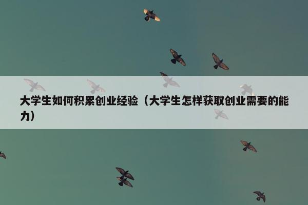 大学生如何积累创业经验（大学生怎样获取创业需要的能力）