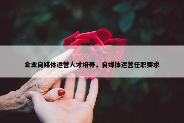 企业自媒体运营人才培养，自媒体运营任职要求