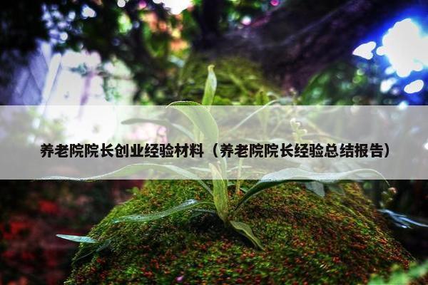 养老院院长创业经验材料（养老院院长经验总结报告）