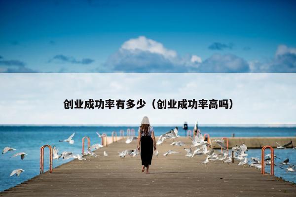 创业成功率有多少（创业成功率高吗）