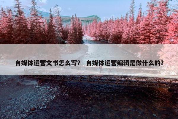自媒体运营文书怎么写？ 自媒体运营编辑是做什么的？