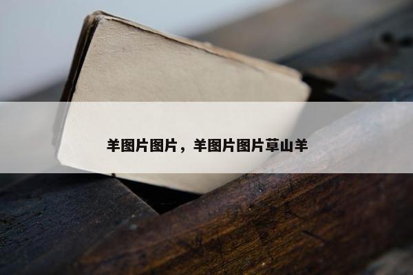 羊图片图片，羊图片图片草山羊