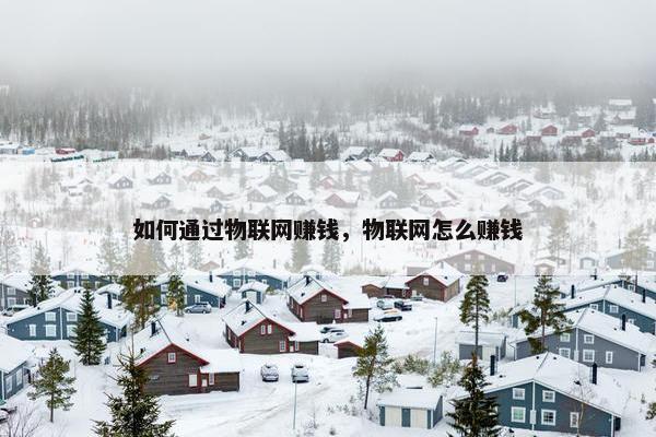 如何通过物联网赚钱，物联网怎么赚钱
