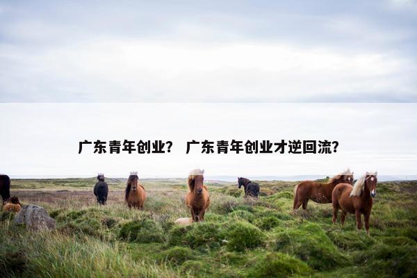 广东青年创业？ 广东青年创业才逆回流？