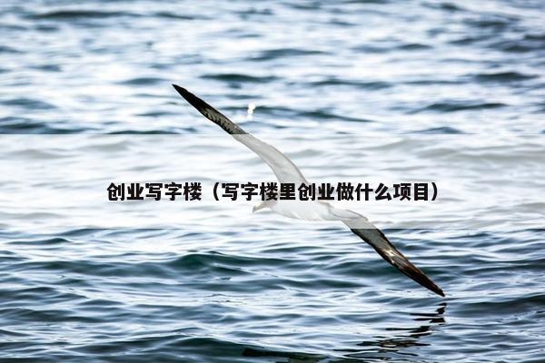 创业写字楼（写字楼里创业做什么项目）