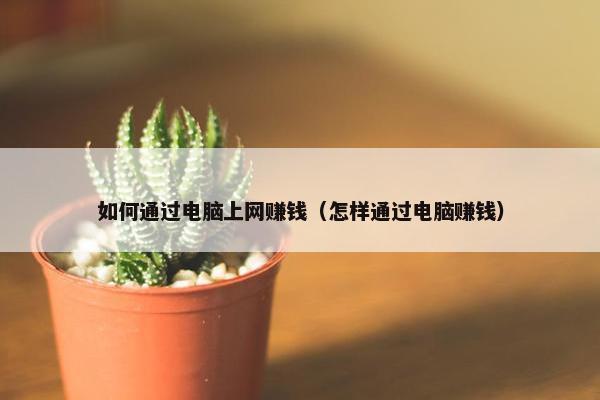 如何通过电脑上网赚钱（怎样通过电脑赚钱）
