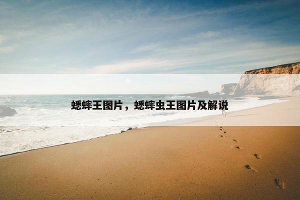 蟋蟀王图片，蟋蟀虫王图片及解说