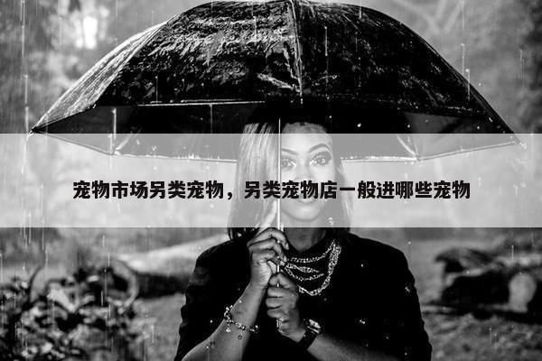 宠物市场另类宠物，另类宠物店一般进哪些宠物