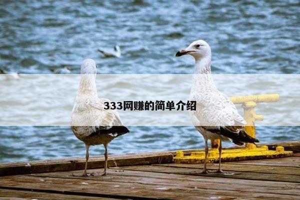 333网赚的简单介绍