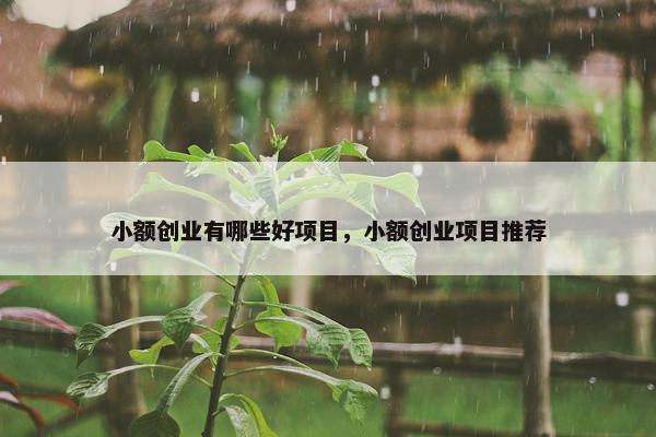 小额创业有哪些好项目，小额创业项目推荐