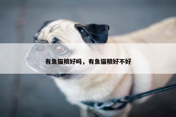 有鱼猫粮好吗，有鱼猫粮好不好