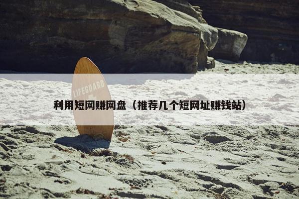 利用短网赚网盘（推荐几个短网址赚钱站）