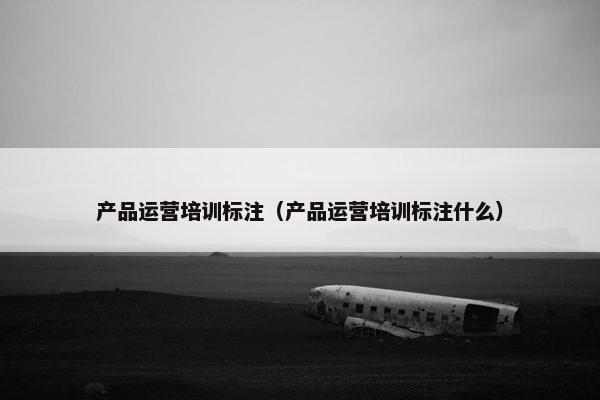 产品运营培训标注（产品运营培训标注什么）