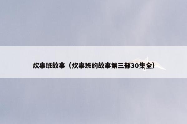 炊事班故事（炊事班的故事第三部30集全）