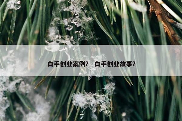 白手创业案例？ 白手创业故事？