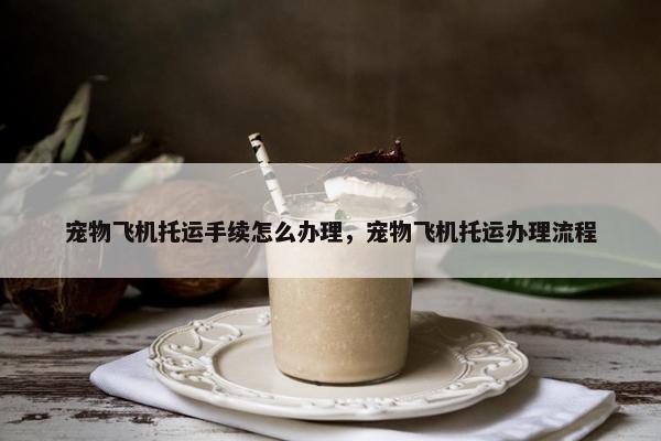 宠物飞机托运手续怎么办理，宠物飞机托运办理流程