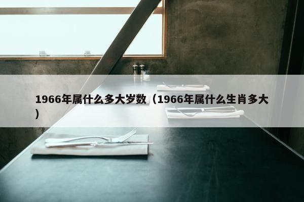 1966年属什么多大岁数（1966年属什么生肖多大）