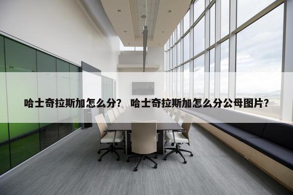 哈士奇拉斯加怎么分？ 哈士奇拉斯加怎么分公母图片？