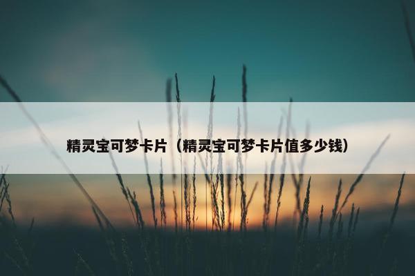 精灵宝可梦卡片（精灵宝可梦卡片值多少钱）