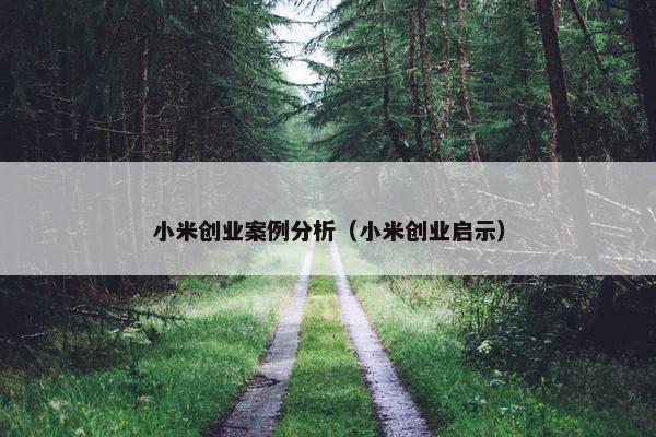 小米创业案例分析（小米创业启示）
