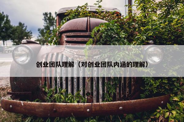 创业团队理解（对创业团队内涵的理解）