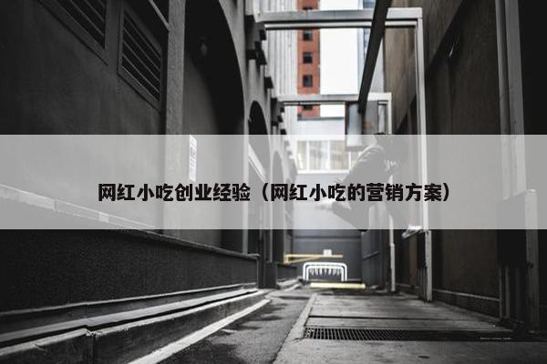 网红小吃创业经验（网红小吃的营销方案）