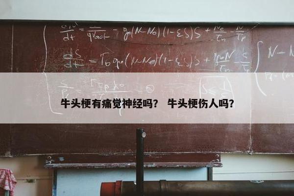牛头梗有痛觉神经吗？ 牛头梗伤人吗？